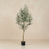 Kunst olijfboom (Olea europaea), 140 cm hoog