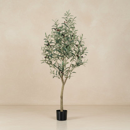 Kunst olijfboom (Olea europaea), 140 cm hoog