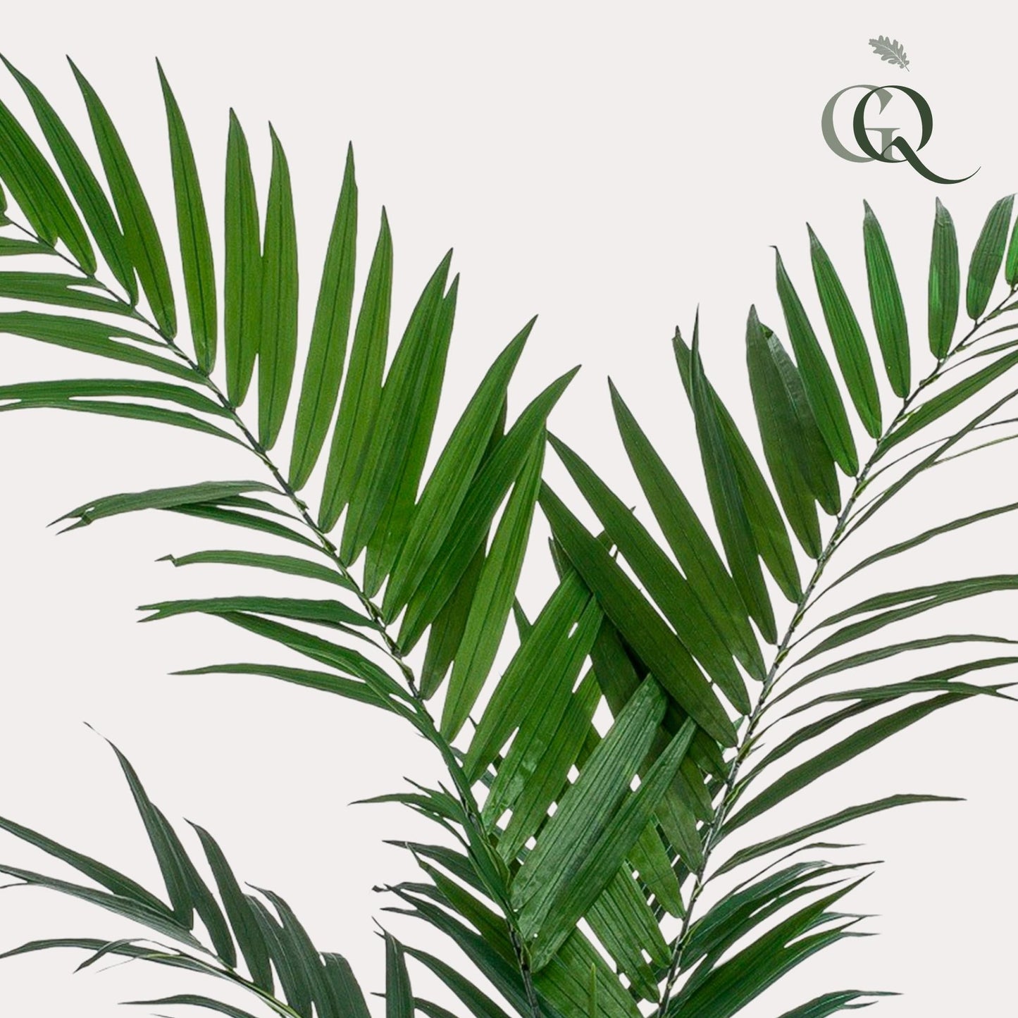 Kunstplant Kentiapalm (Howea forsteriana), 150 cm hoog