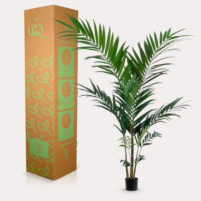 Kunstplant Kentiapalm (Howea forsteriana), 150 cm hoog