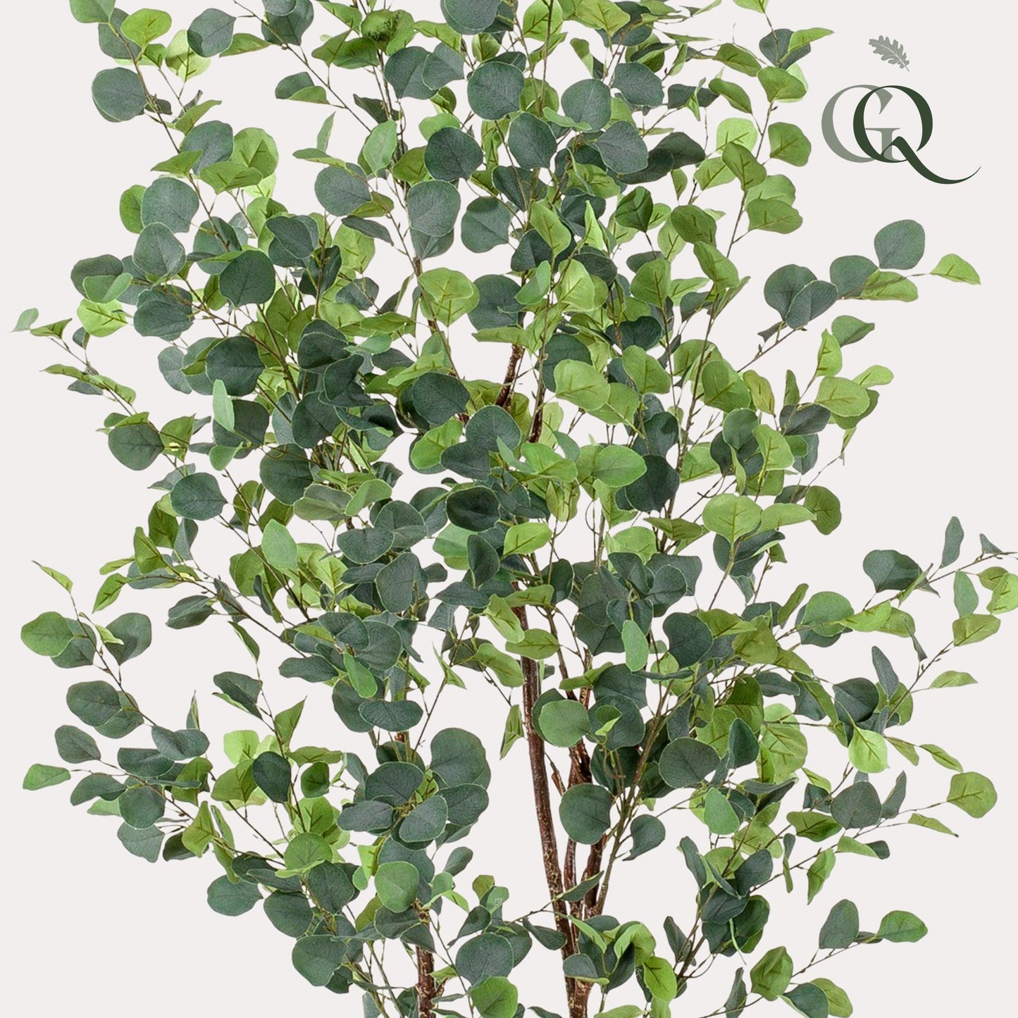 Kunstplant Eucalyptus (blauwe gomboom), 180 cm hoog