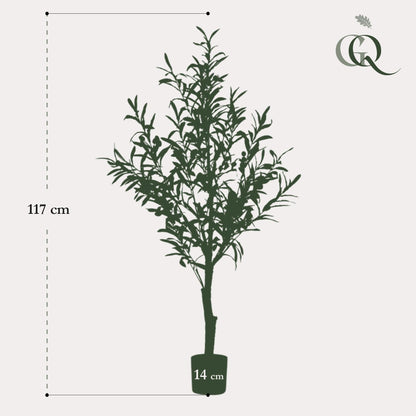 Kunst olijfboom (Olea europaea), 115 cm hoog