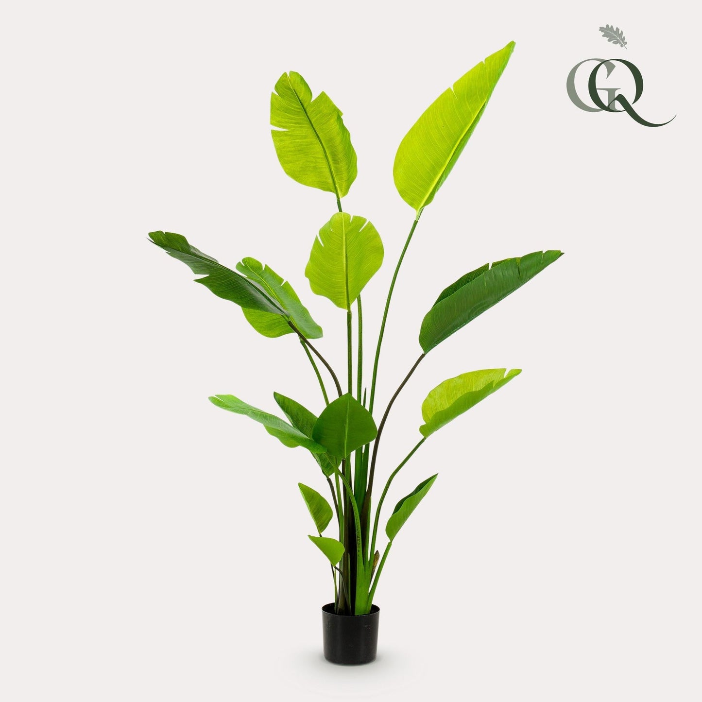 Kunstplant Strelitzia nicolai (paradijsvogelbloem), 150 cm hoog