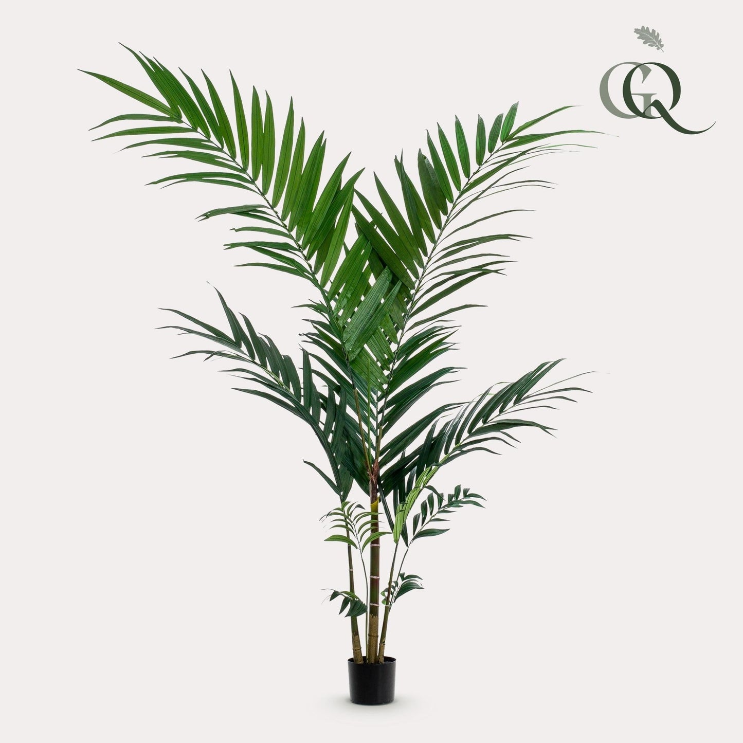 Kunstplant Kentiapalm (Howea forsteriana), 150 cm hoog