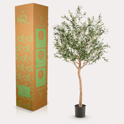 Kunst olijfboom (Olea europaea), 180 cm hoog
