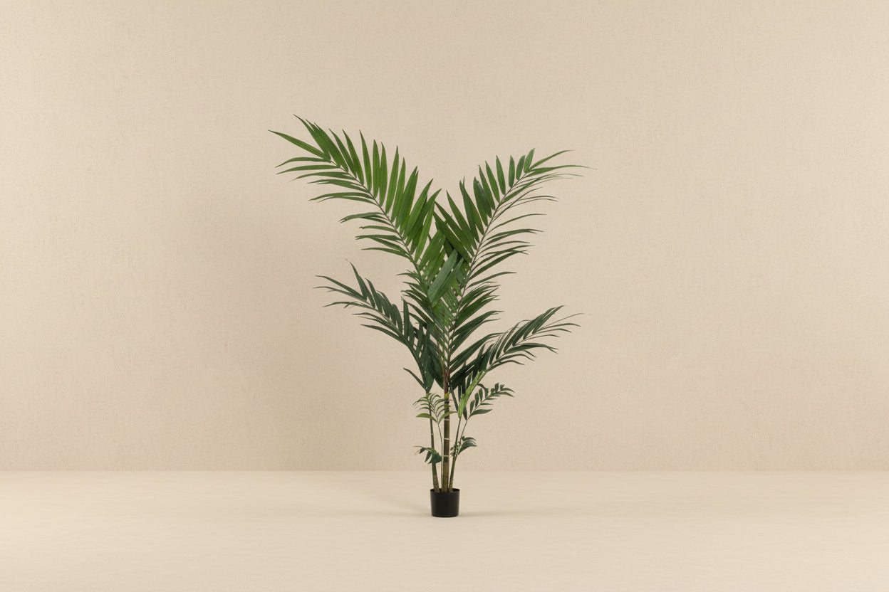 Kunstplant Kentiapalm (Howea forsteriana), 150 cm hoog