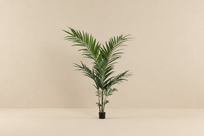 Kunstplant Kentiapalm (Howea forsteriana), 150 cm hoog