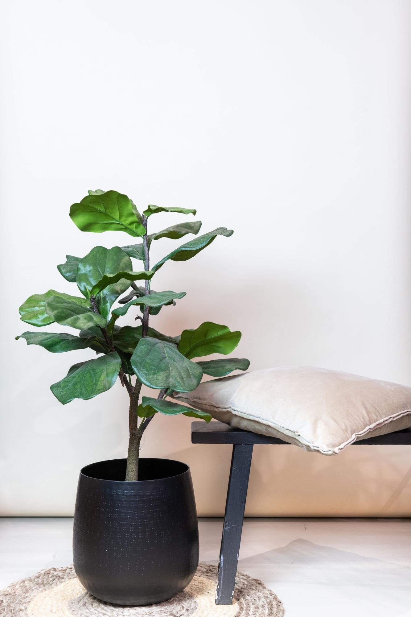 Kunstplant Ficus lyrata (vioolblad ficus / tabaksplant), 90 cm hoog