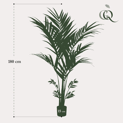 Kunstplant Kentiapalm (Howea forsteriana), 180 cm hoog