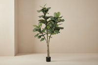 Kunstplant Ficus lyrata (vioolblad ficus), 180 cm hoog