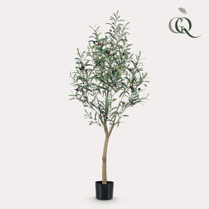 Kunst olijfboom (Olea europaea), 140 cm hoog