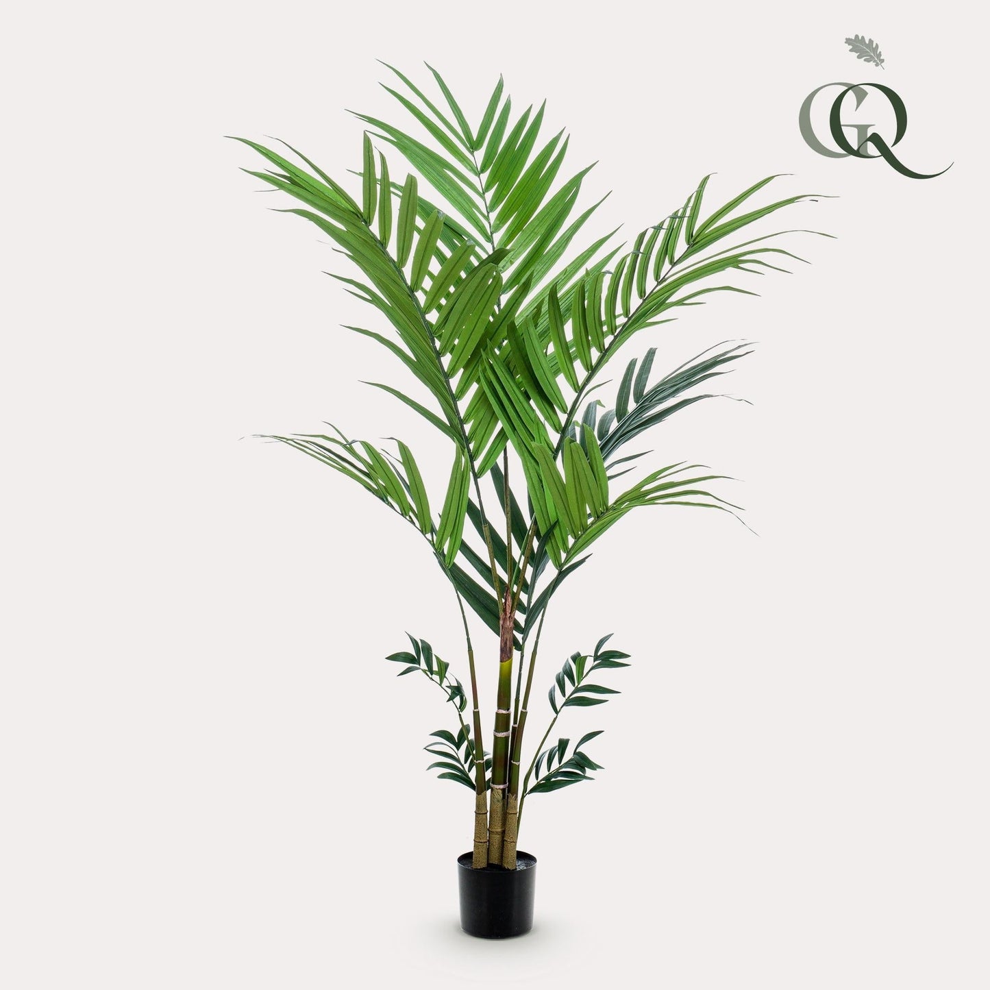 Kunstplant Kentiapalm (Howea forsteriana), 180 cm hoog