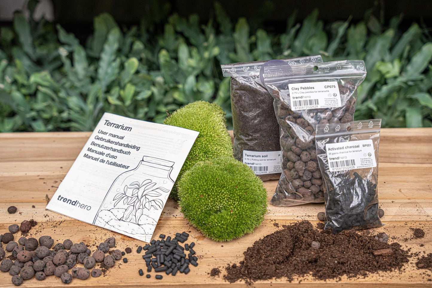 Comnox - DIY Terrarium Kit Size S/M - Complete Starter & Refill Set