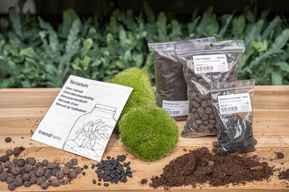 Comnox - DIY Terrarium Kit Size S/M - Complete Starter & Refill Set