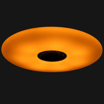 VoiceControl LED Plafondlamp 50 cm met Google Nest & Amazon Echo Dot houder - Bedienbaar met App