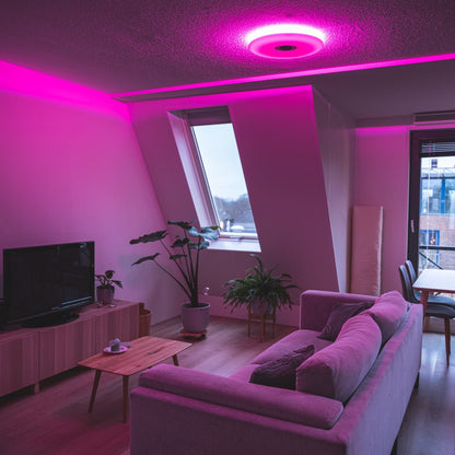 VoiceControl LED Plafondlamp 50 cm met Google Nest & Amazon Echo Dot houder - Bedienbaar met App