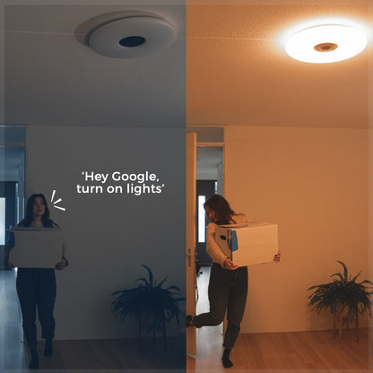 VoiceControl LED Plafondlamp 50 cm met Google Nest & Amazon Echo Dot houder - Bedienbaar met App